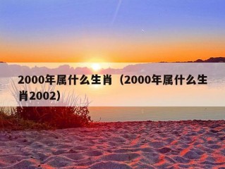 2000年属什么生肖（2000年属什么生肖2002）