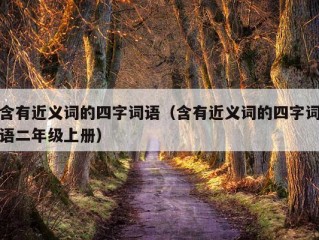 含有近义词的四字词语（含有近义词的四字词语二年级上册）