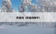 折组词（折组词四字）