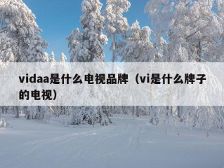 vidaa是什么电视品牌（vi是什么牌子的电视）