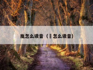 胤怎么读音（礽怎么读音）