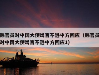 韩官员对中国大使出言不逊中方回应（韩官员对中国大使出言不逊中方回应1）