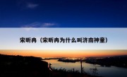 宋昕冉（宋昕冉为什么叫济南神童）