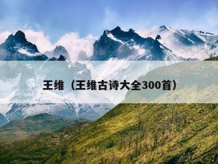 王维（王维古诗大全300首）