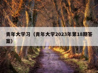 青年大学习（青年大学2023年第18期答案）