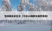 雪缘园足彩比分（今日14场胜负推荐预测）