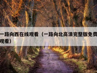 一路向西在线观看（一路向北高清完整版免费观看）