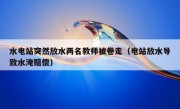 水电站突然放水两名教师被卷走（电站放水导致水淹赔偿）