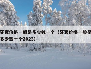 牙套价格一般是多少钱一个（牙套价格一般是多少钱一个2023）