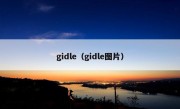 gidle（gidle图片）