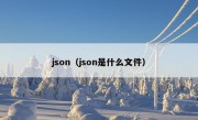 json（json是什么文件）