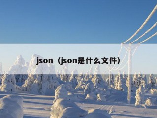 json（json是什么文件）