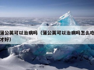 蒲公英可以治病吗（蒲公英可以治病吗怎么吃才好）