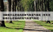 泡脚用什么把体内的寒气和湿气排出（冬天泡脚用什么把体内的寒气和湿气排出）