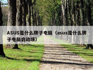 ASUS是什么牌子电脑（asus是什么牌子电脑启动项）