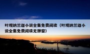 叶观纳兰迦小说全集免费阅读（叶观纳兰迦小说全集免费阅读无弹窗）