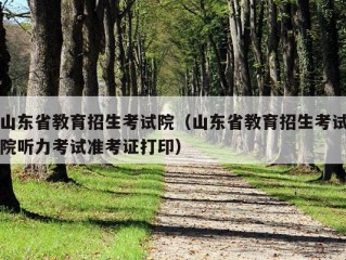 山东省教育招生考试院（山东省教育招生考试院听力考试准考证打印）