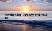 bgm是什么意思（炮姐视频bgm是什么意思）