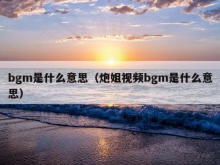 bgm是什么意思（炮姐视频bgm是什么意思）