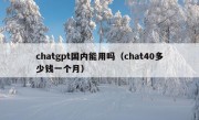 chatgpt国内能用吗（chat40多少钱一个月）