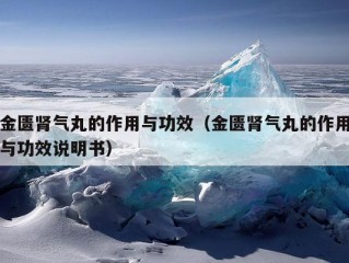 金匮肾气丸的作用与功效（金匮肾气丸的作用与功效说明书）