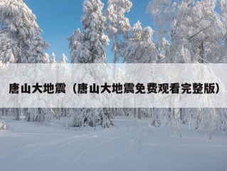 唐山大地震（唐山大地震免费观看完整版）