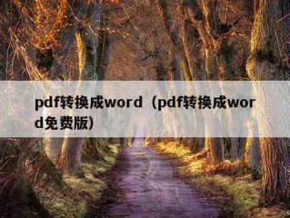 pdf转换成word（pdf转换成word免费版）