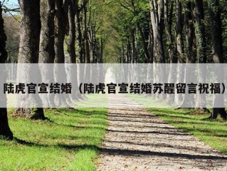 陆虎官宣结婚（陆虎官宣结婚苏醒留言祝福）