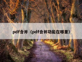 pdf合并（pdf合并功能在哪里）