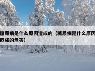 糖尿病是什么原因造成的（糖尿病是什么原因造成的危害）