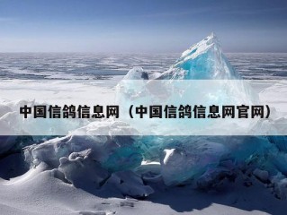 中国信鸽信息网（中国信鸽信息网官网）