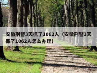 安徽刑警3天抓了1062人（安徽刑警3天抓了1062人怎么办理）