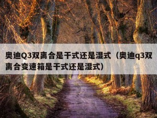 奥迪Q3双离合是干式还是湿式（奥迪q3双离合变速箱是干式还是湿式）