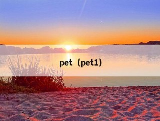 pet（pet1）