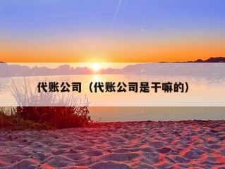 代账公司（代账公司是干嘛的）