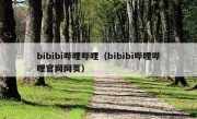 bibibi哔哩哔哩（bibibi哔哩哔哩官网网页）