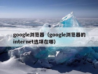 google浏览器（google浏览器的internet选项在哪）