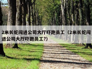 2米长蛇闯进公司大厅吓跑员工（2米长蛇闯进公司大厅吓跑员工?）