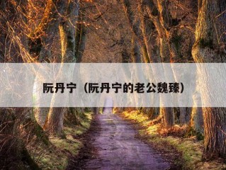 阮丹宁（阮丹宁的老公魏臻）