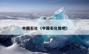 中国石化（中国石化股吧）