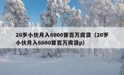 20岁小伙月入6000背百万房贷（20岁小伙月入6000背百万房贷p）