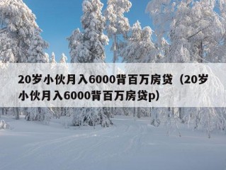 20岁小伙月入6000背百万房贷（20岁小伙月入6000背百万房贷p）