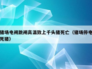 猪场电闸跳闸高温致上千头猪死亡（猪场停电死猪）