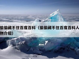 偷偷藏不住百度百科（偷偷藏不住百度百科人物介绍）