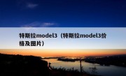 特斯拉model3（特斯拉model3价格及图片）