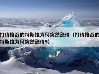 打价格战的特斯拉为何突然涨价（打价格战的特斯拉为何突然涨价9）