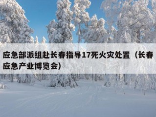 应急部派组赴长春指导17死火灾处置（长春应急产业博览会）