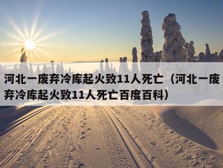 河北一废弃冷库起火致11人死亡（河北一废弃冷库起火致11人死亡百度百科）