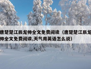 唐楚楚江辰龙帅全文免费阅读（唐楚楚江辰龙帅全文免费阅读,天气用英语怎么说）