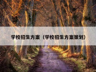 学校招生方案（学校招生方案策划）